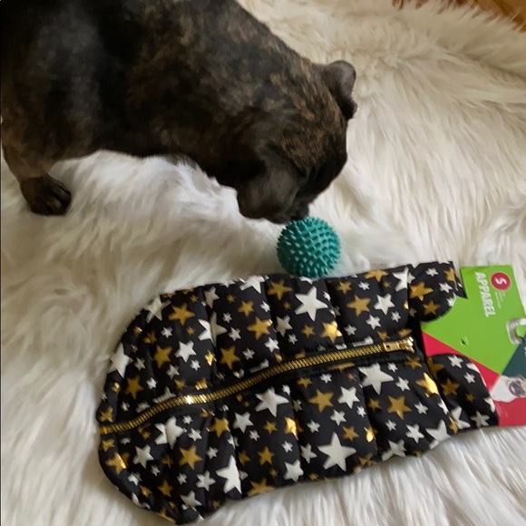 Vibrant life Dog 🐶 Bomber black star jacket ⭐️ - Picture 2 of 8